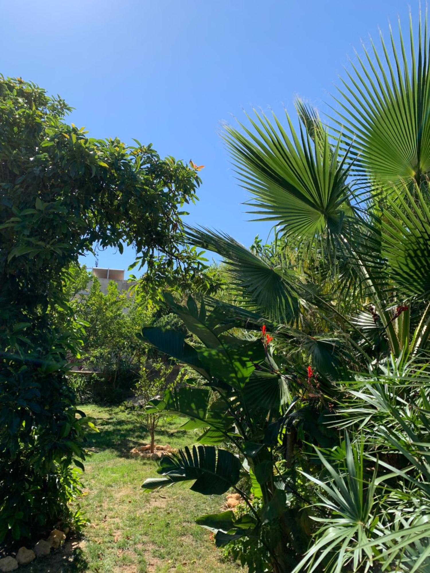 A Tranquil Garden Apartment, Carvoeiro - Benagil Экстерьер фото