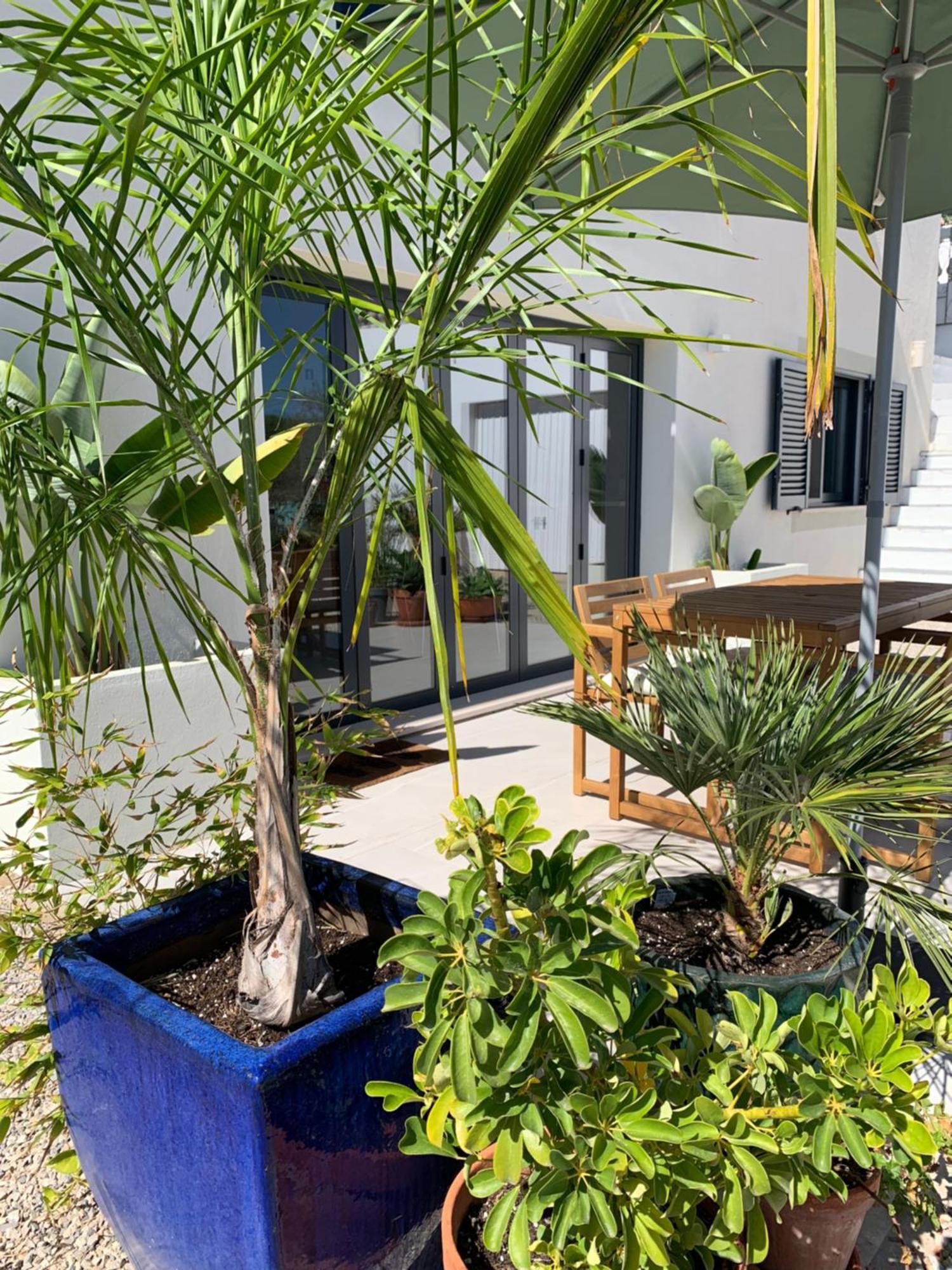 A Tranquil Garden Apartment, Carvoeiro - Benagil Экстерьер фото